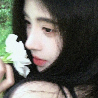 大合集喵