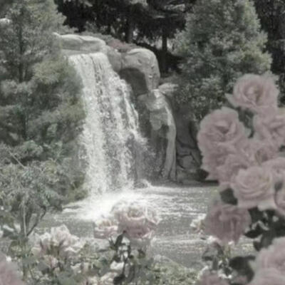 粉玫瑰花的花园