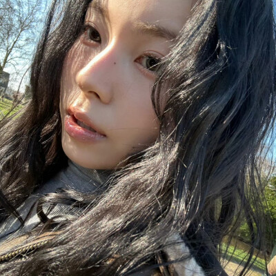 张圭真