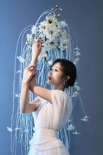 邢菲