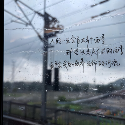 壁纸背景