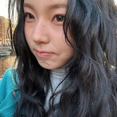 张圭真