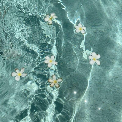 背景图
