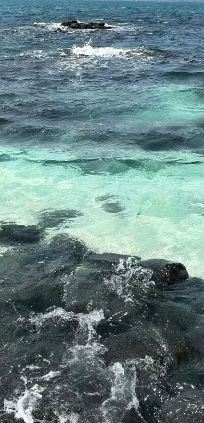 壁纸