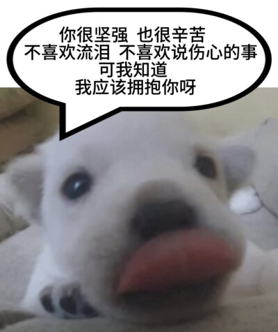发点狗图