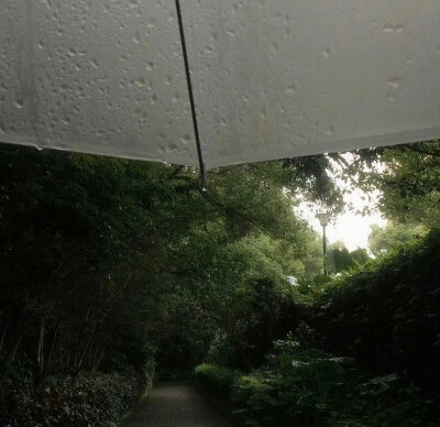 绿色系背景图