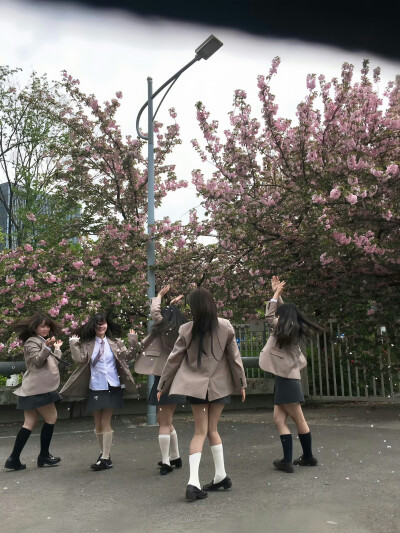 壁纸