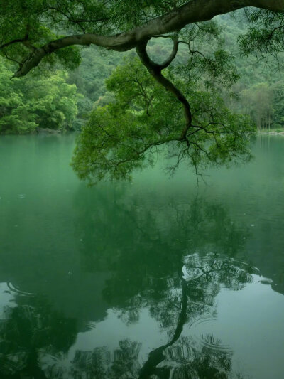 绿色系