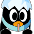 QQ 企鹅