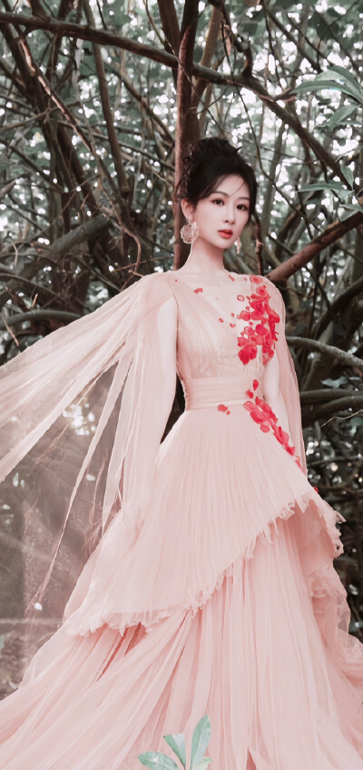 杨紫