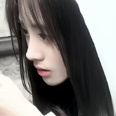 初恋女友养的猫