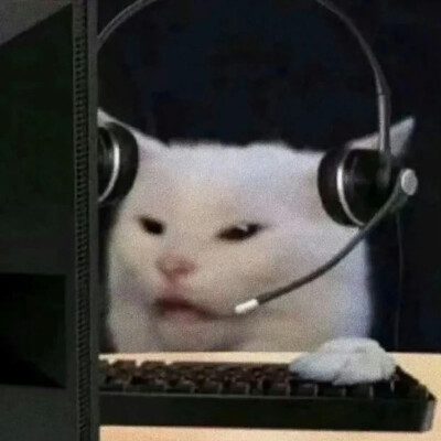 一组萌萌的自存猫猫头 ꉂ ᓀ ·̫.ᓂ ฅ୭
⁣ ​​​#可爱头像##猫猫头像#