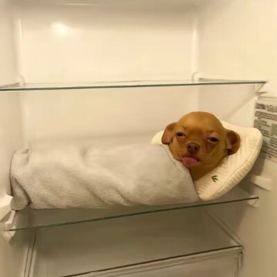 ～