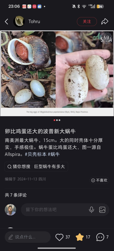 。