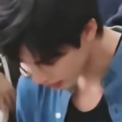 野狗
