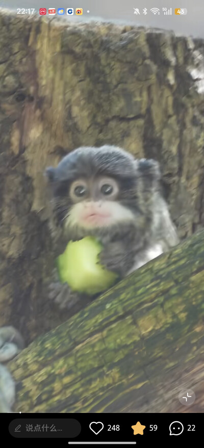 。