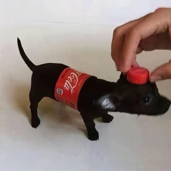～