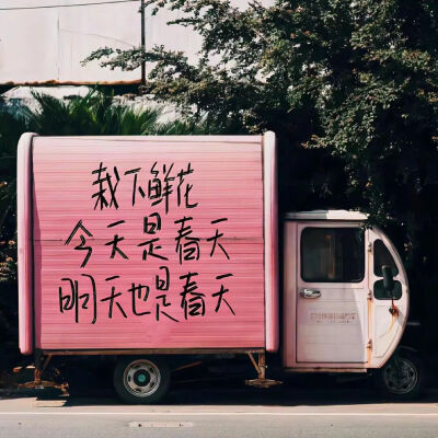 背景图
