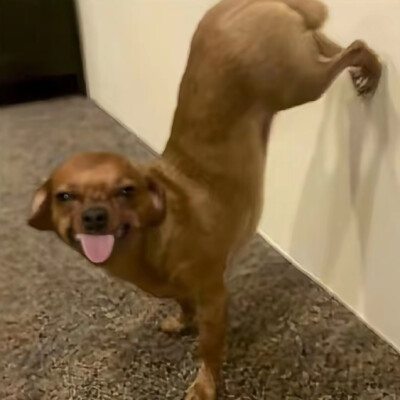 ～