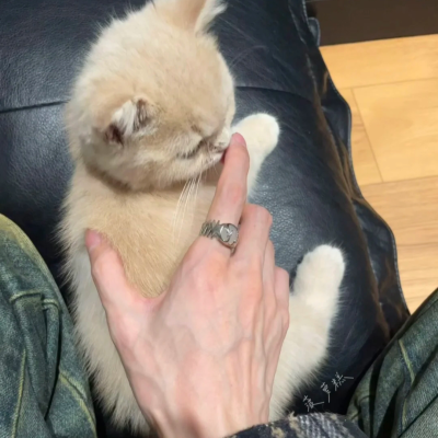 头像丨男头 命运反复考验