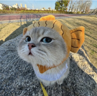 ，