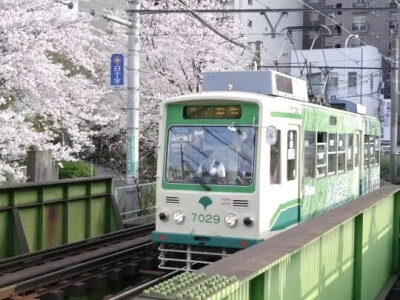 粉绿色pinkgreen美学
