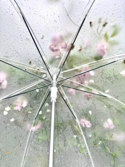 粉绿色pinkgreen美学