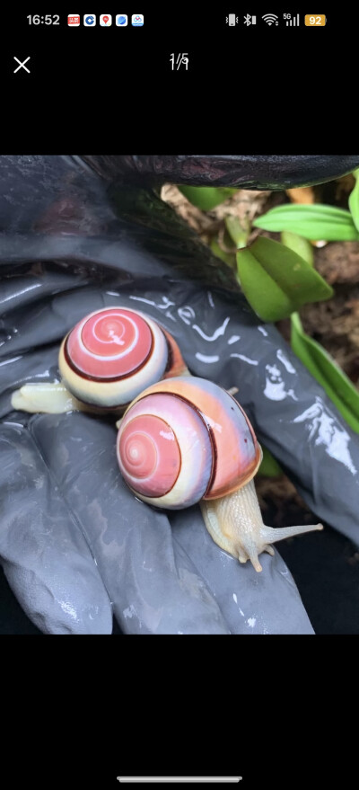 。