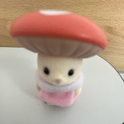(￣∇￣)