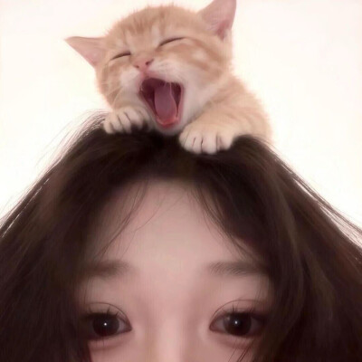ins