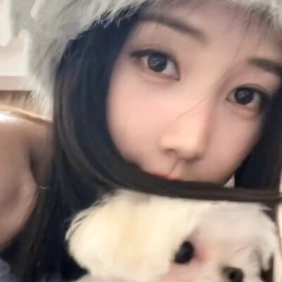 一只猪特供