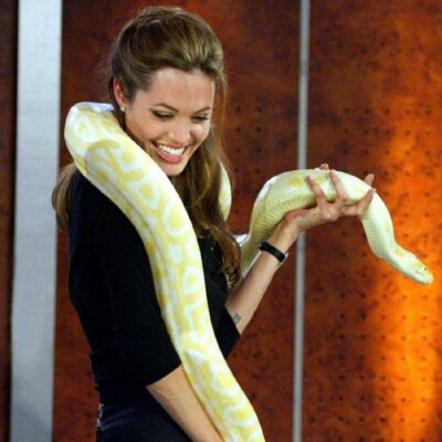 Angelina Jolie