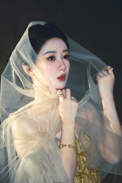 杨紫