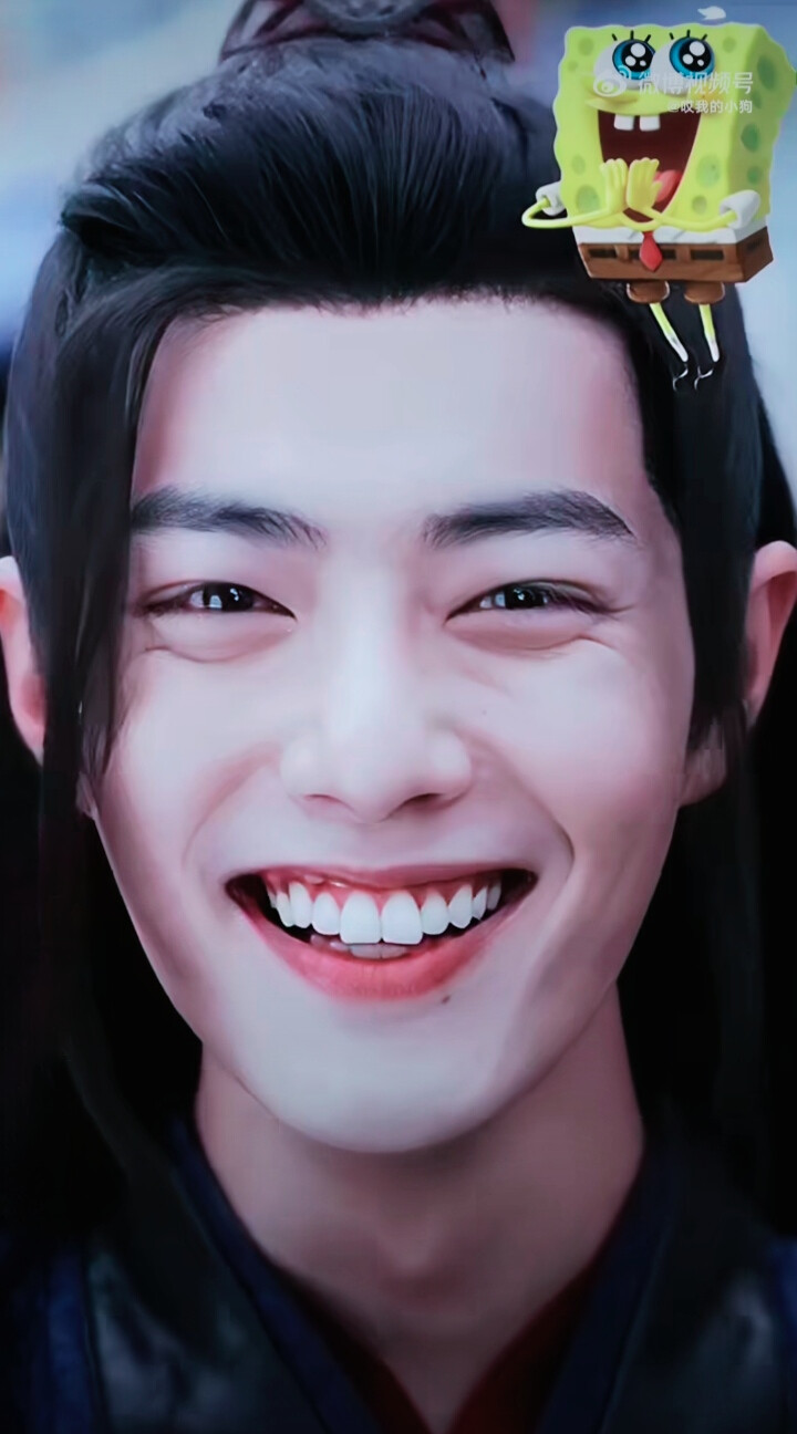 肖战/魏无羡
