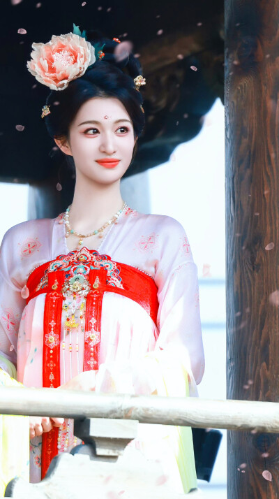 王楚然