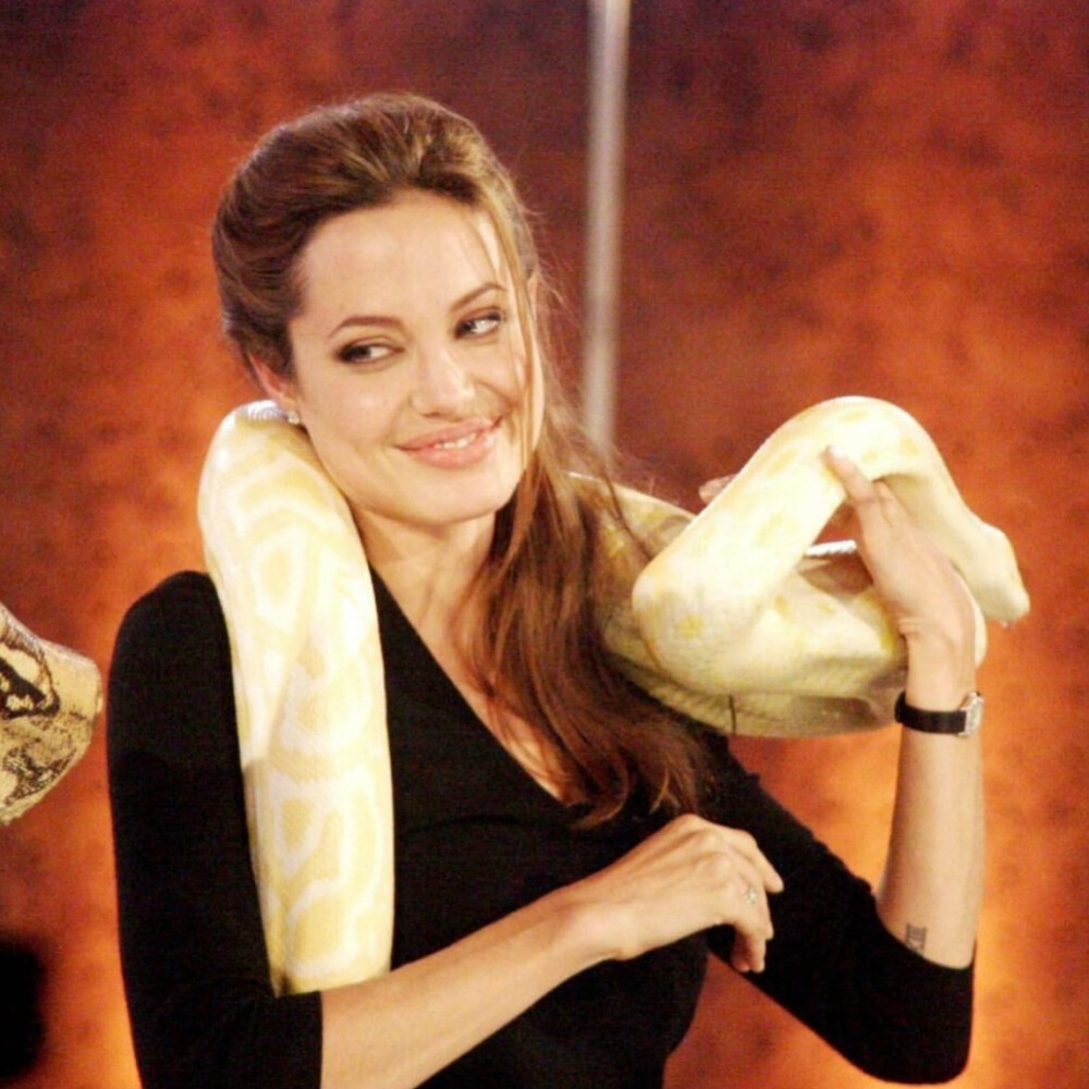 Angelina Jolie