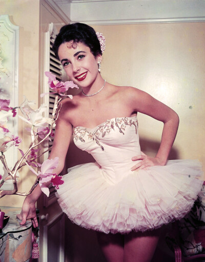 Elizabeth Taylor ​​​