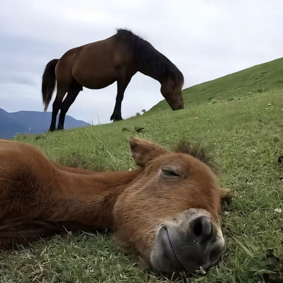 ～