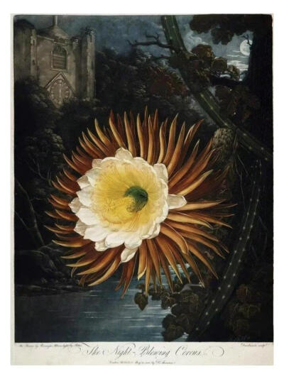 ，