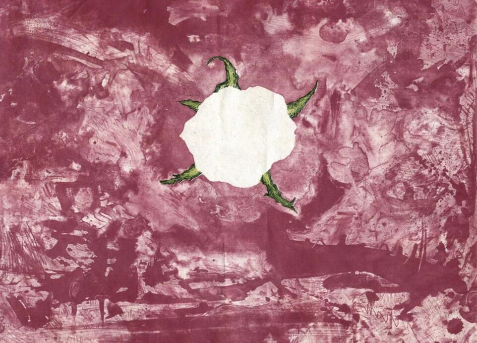 “Rose is a rose is a rose is a rose”
