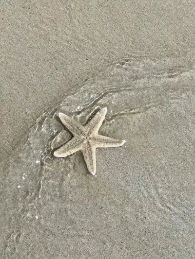 想和你去看海