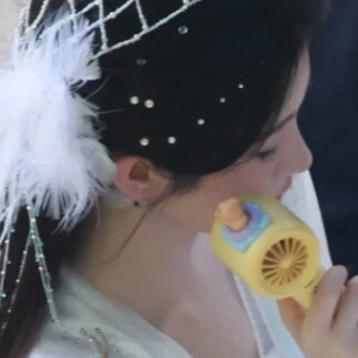 白羽缀星落云鬓
