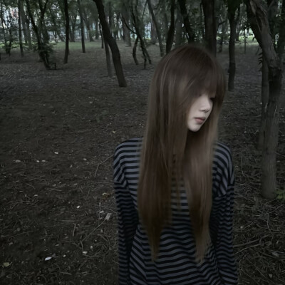 教司