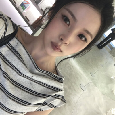 张圭真