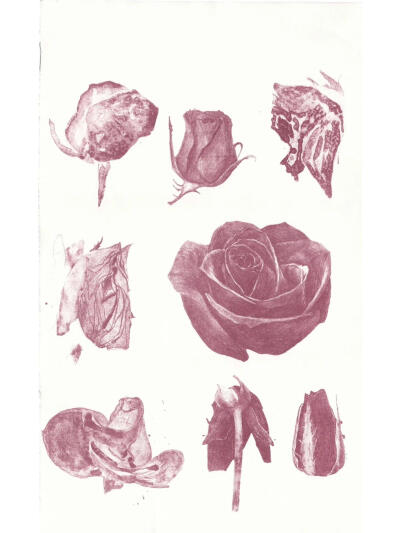 “Rose is a rose is a rose is a rose”
