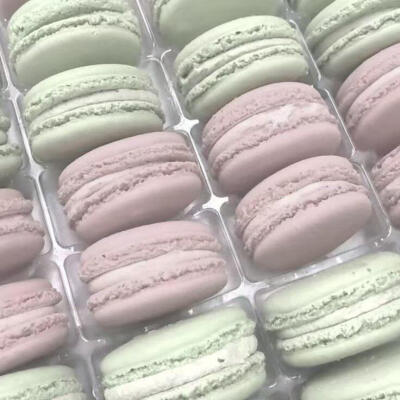 粉绿色pinkgreen美学