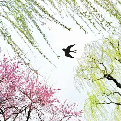 背景图