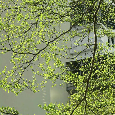 背景图