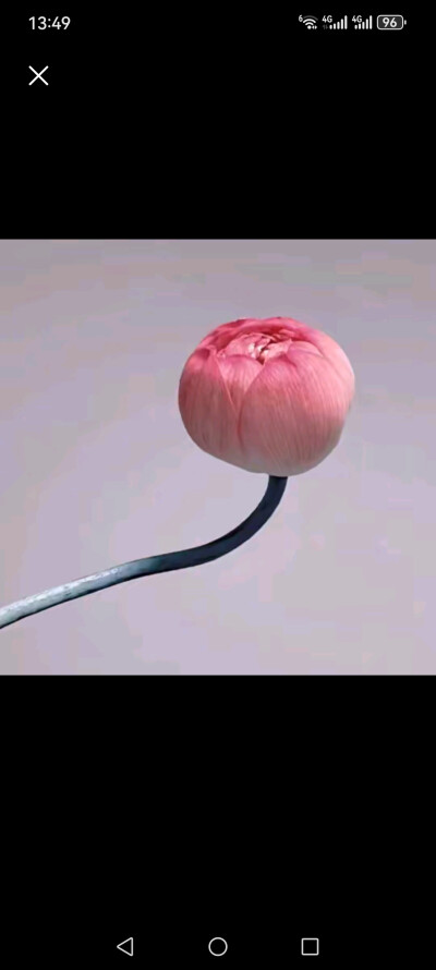 美之唯美