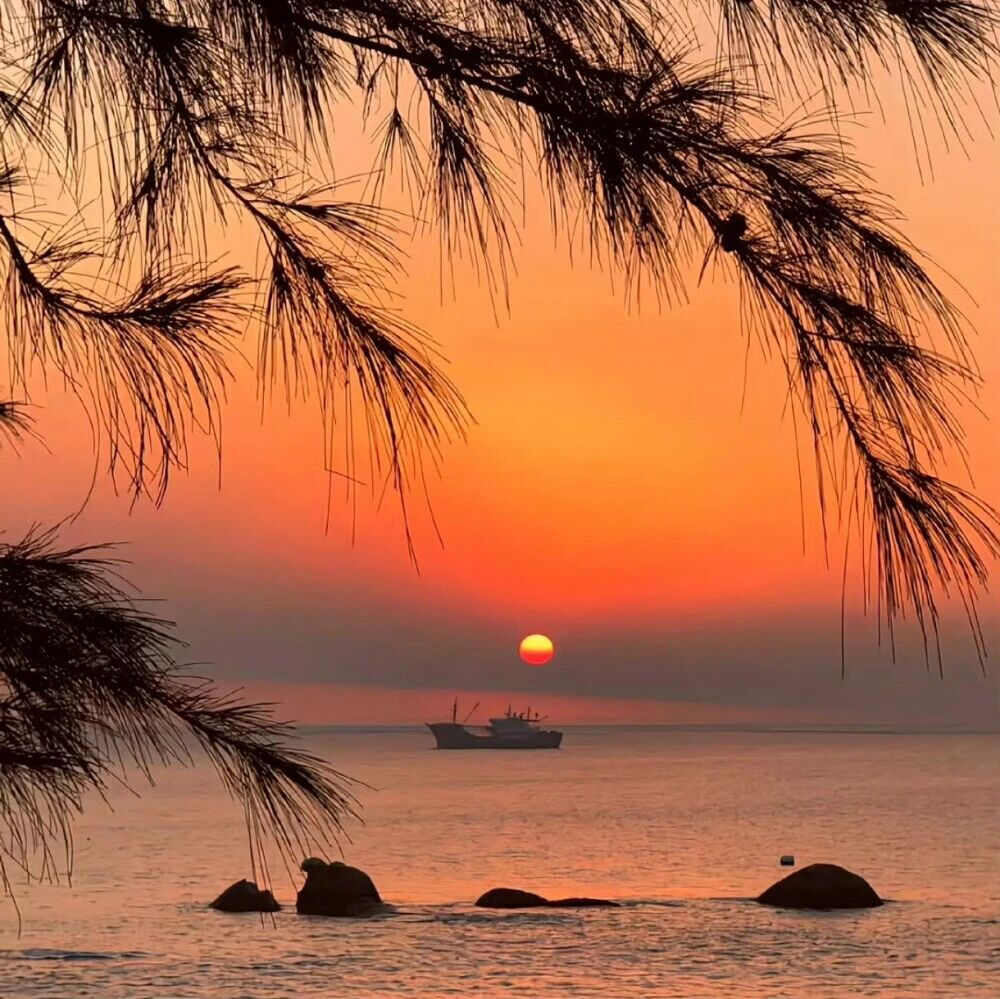 背景图